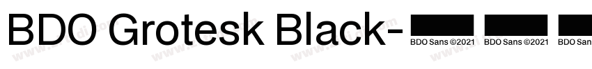 BDO Grotesk Black字体转换